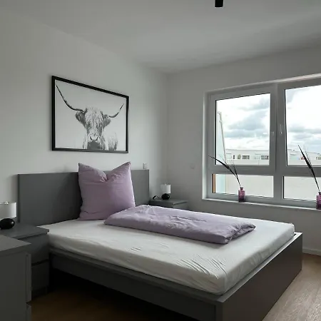 Ostwall Terrassen 5.29