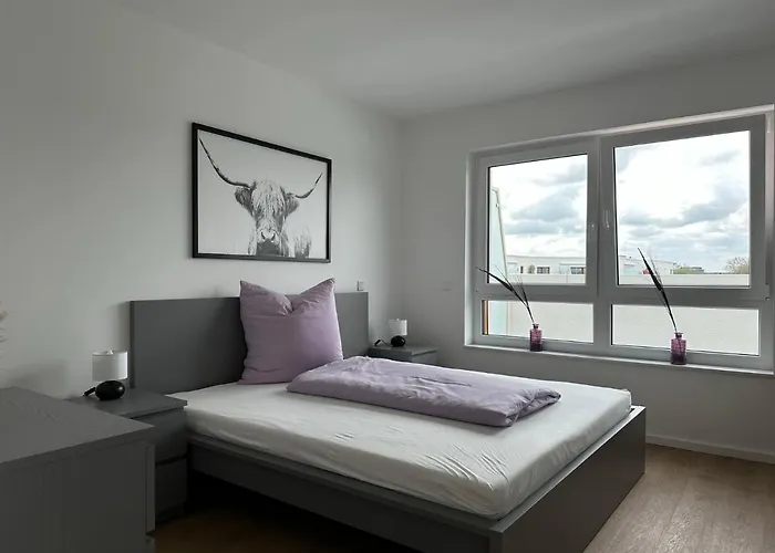 Ostwall Terrassen 5.29